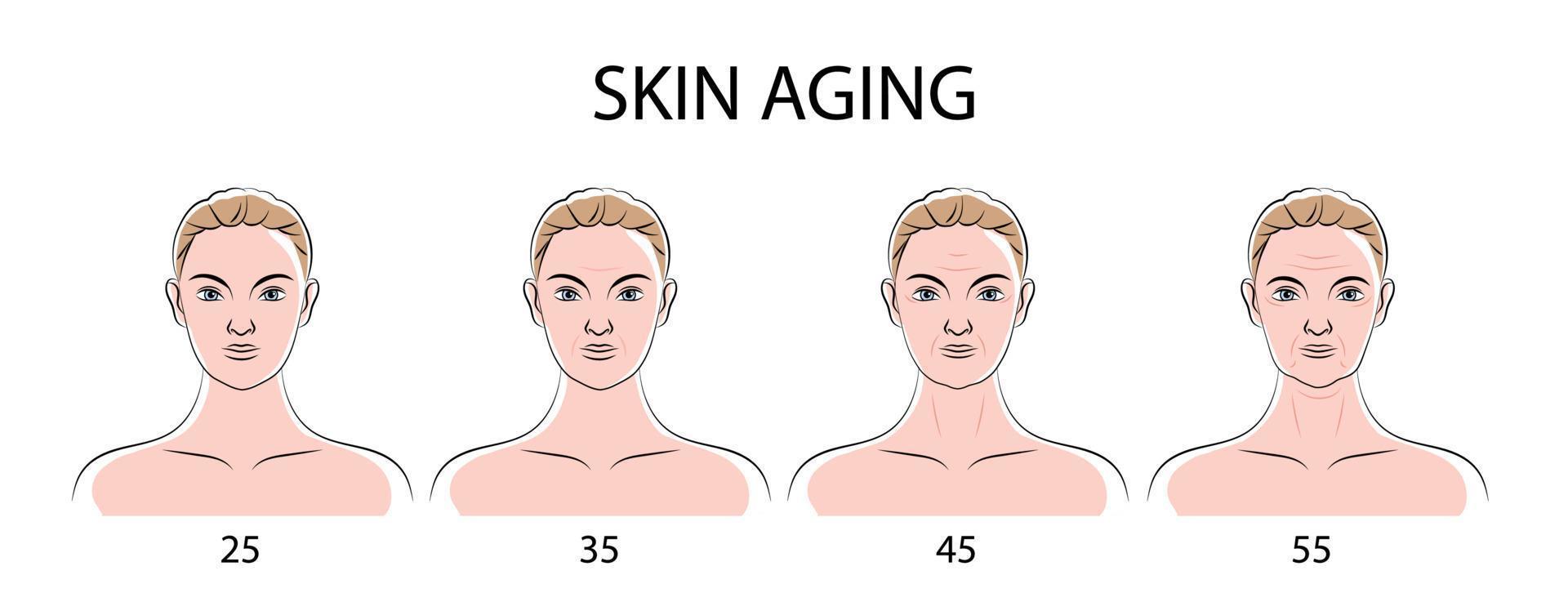 Skin Aging Poster vector