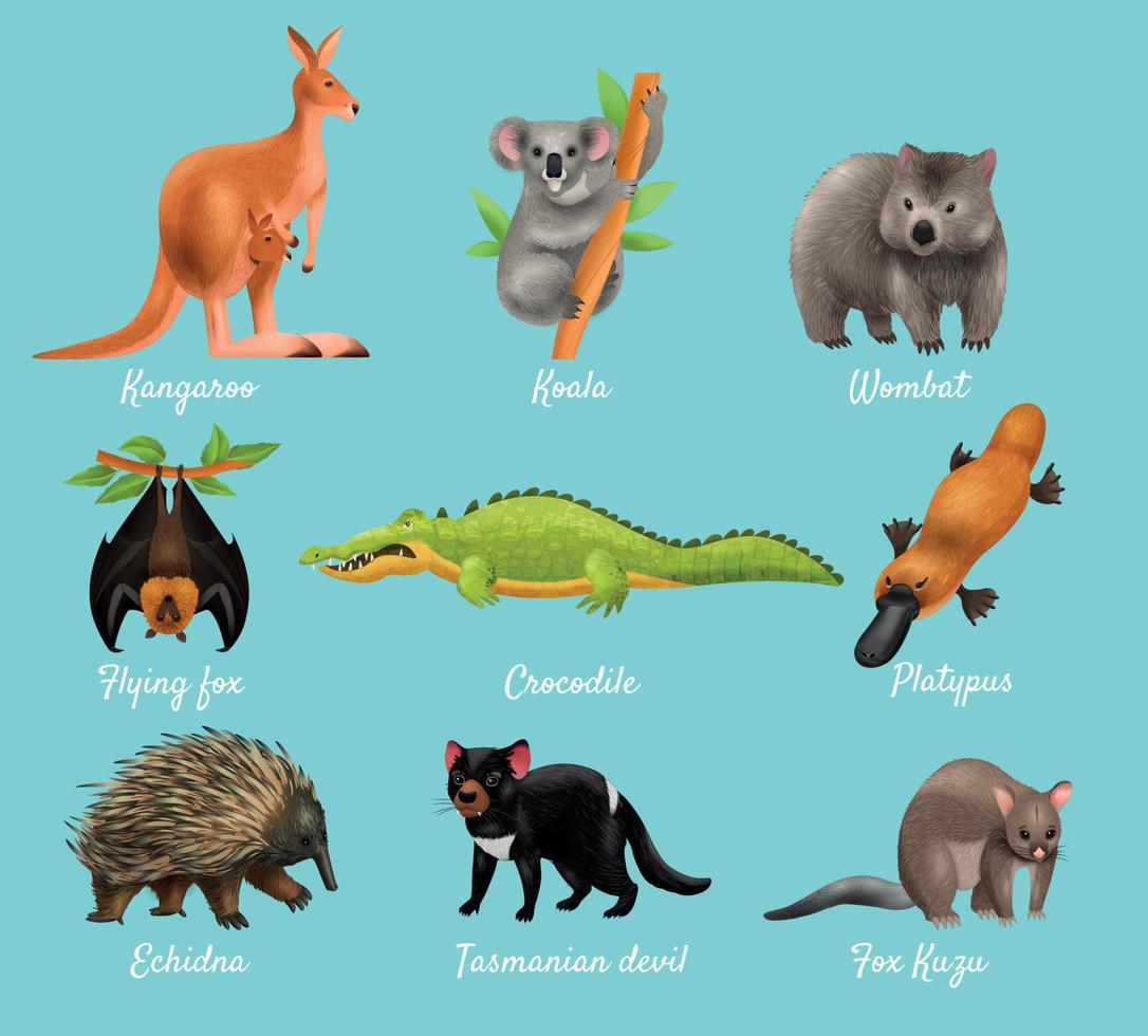 Australian Animals Design Concept vector