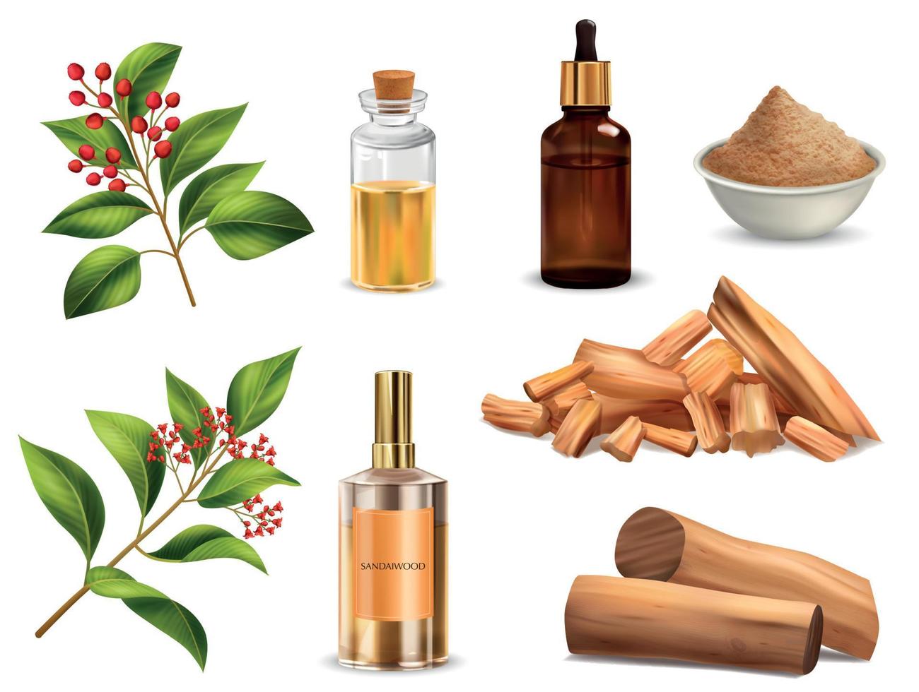 Realistic Sandalwood Set vector