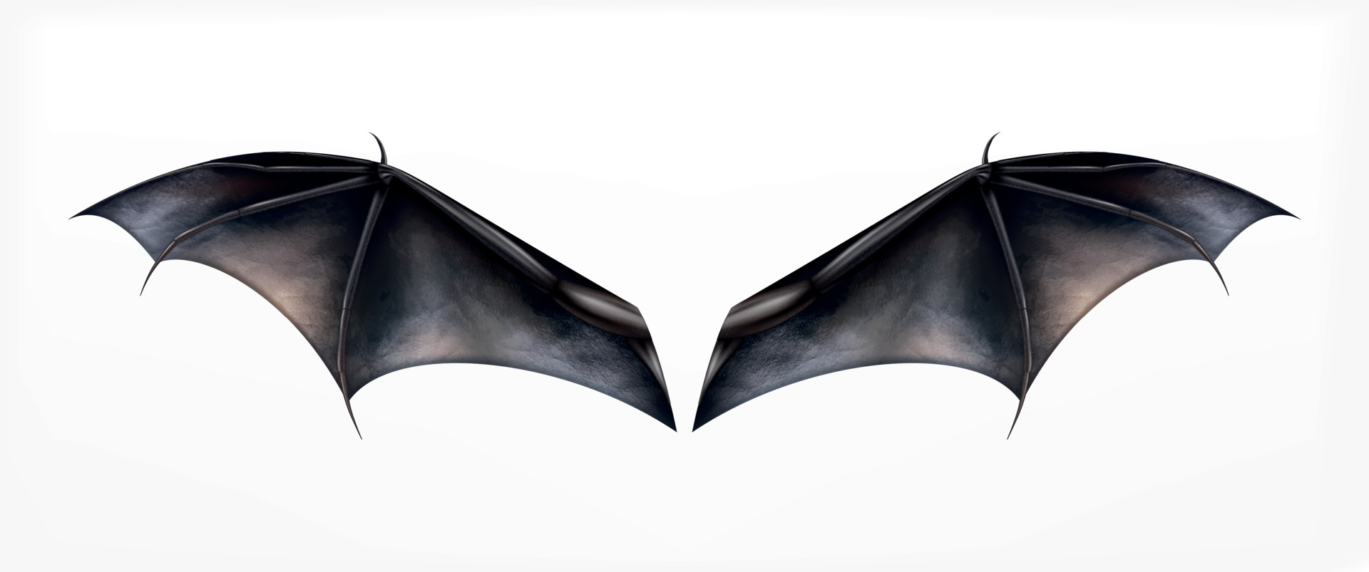 bat wings