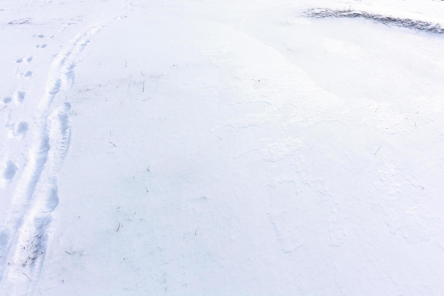 Footprints of a man and a dog on a snowy field photo