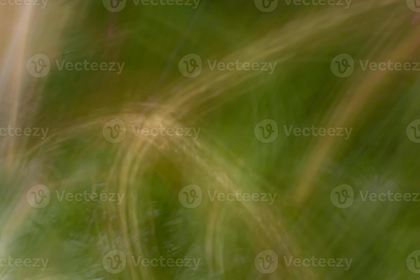 Abstract green background banner with yellow streaks. Backdrop. photo