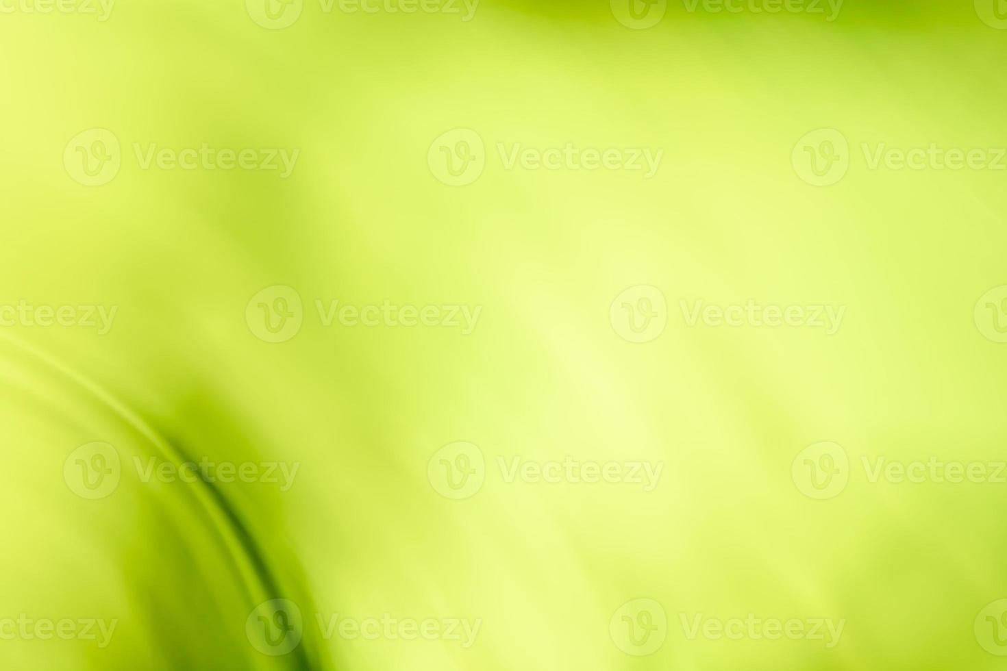 Abstract bright green background banner with soft blur. Spring holiday theme. photo