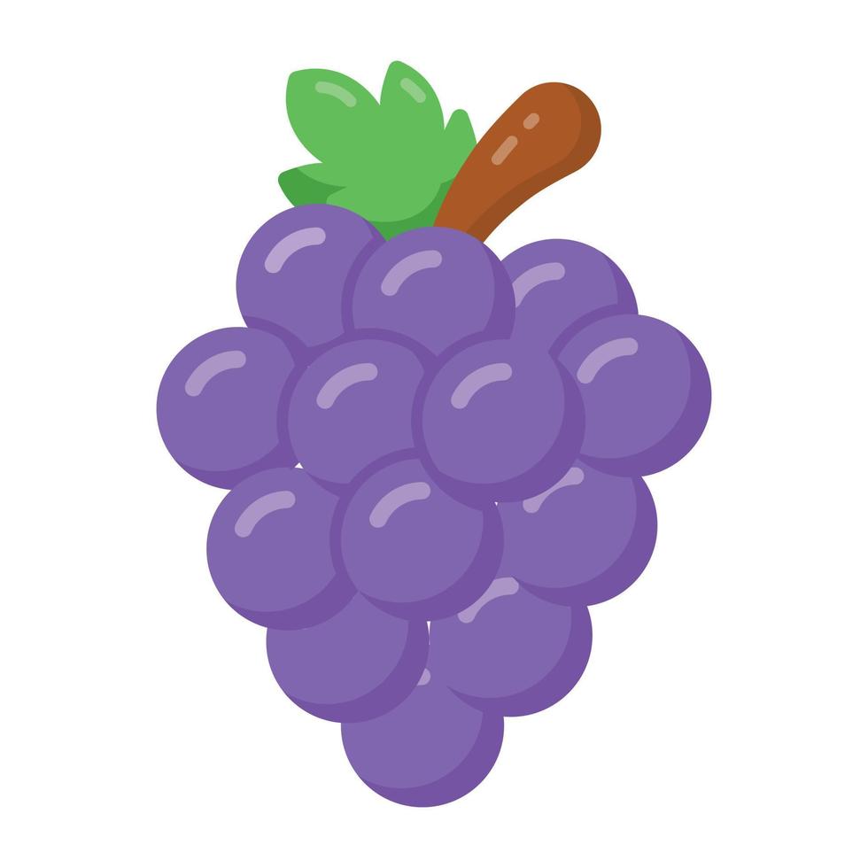 Bunch of grapes, natural antioxidant fruit vector