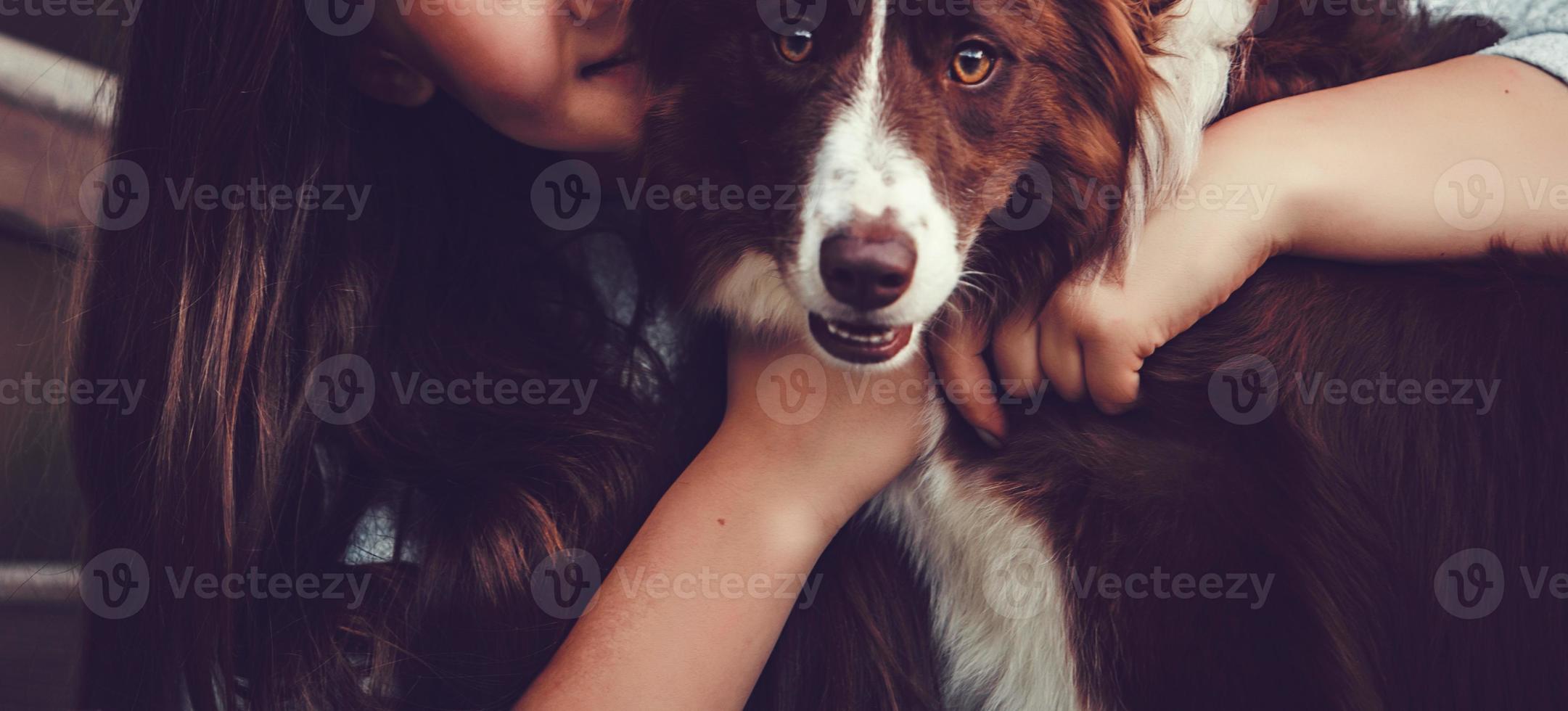 woman and collie dog photo