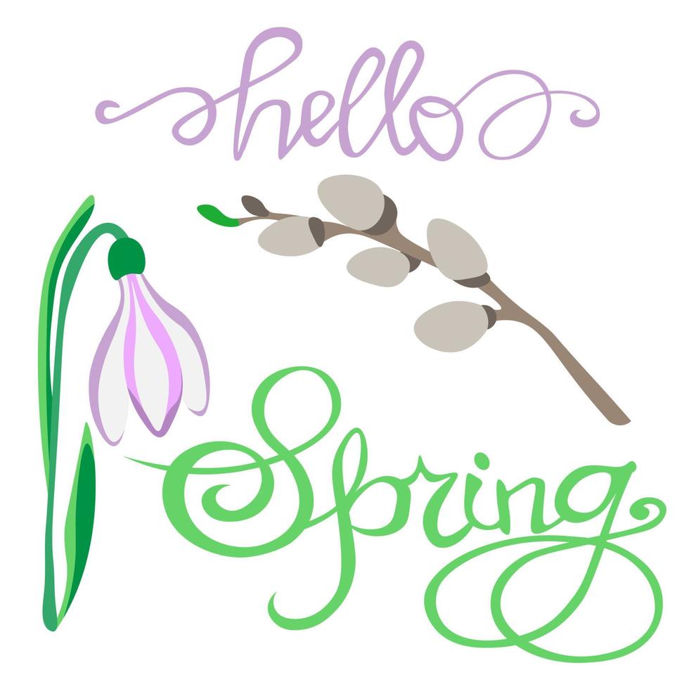 set of the first spring flowers, primrose, snowdrop, willow branch and the inscription HELLO SPRING.  delicate spring flowers with leaves, Easter. for gift packages, fabrics, napkins, vector. eps 10 vector