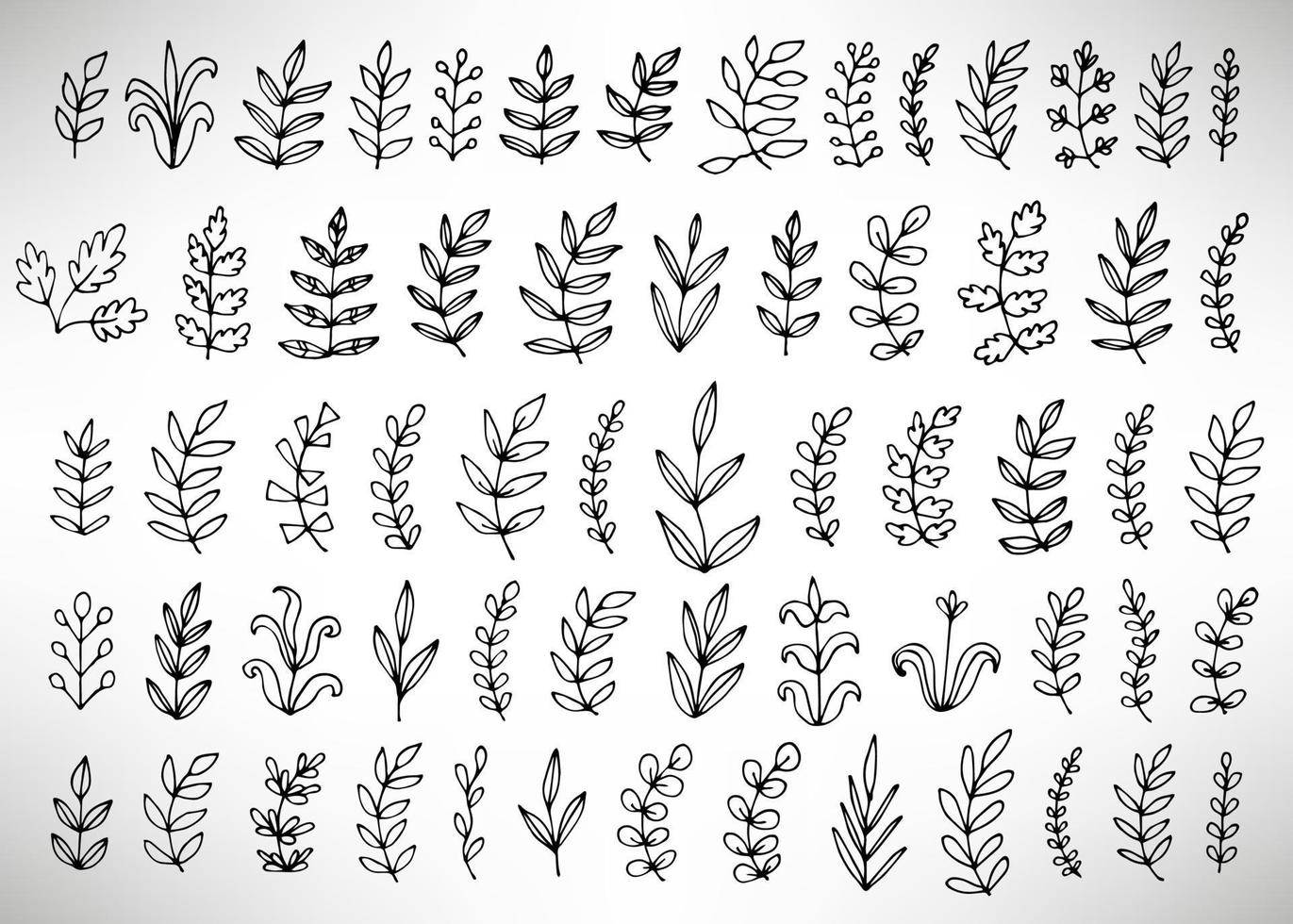 Floral set of black outline hand drawn elements, tree branch, bush, plant, tropical leaves, branches, petals isolated on white. Collection for design. vector