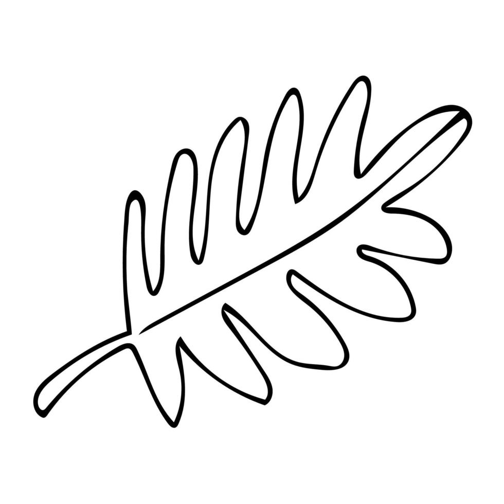 Cartoon linear doodle palm leaf isolated on white background. vector