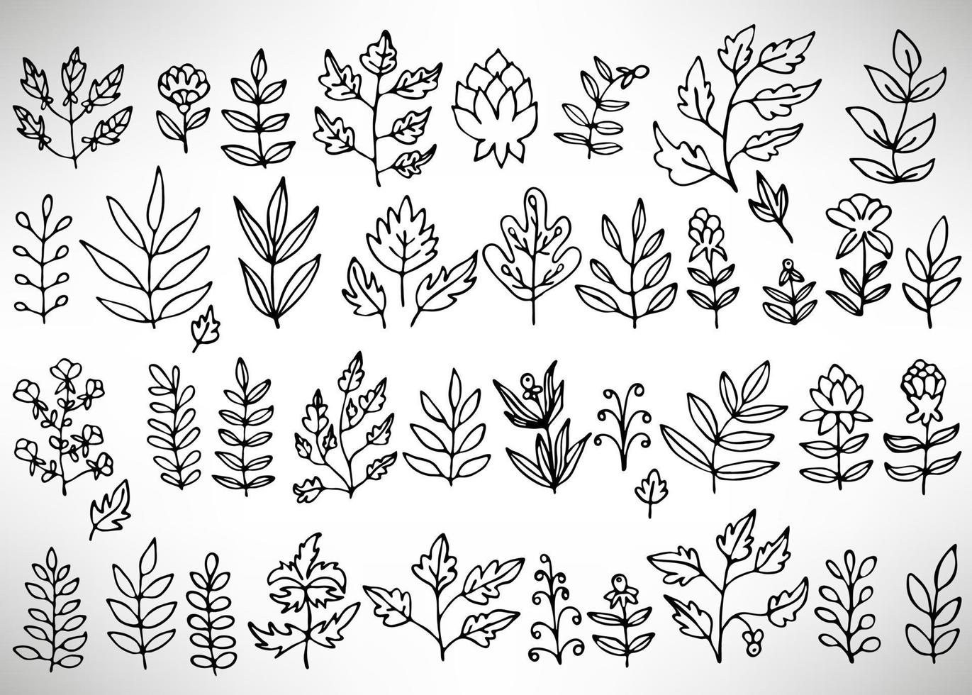 Big Floral Set of black hand drawn flowers, bushes, leaves, branches isolated on white. Collection of flourish elements for design. vector