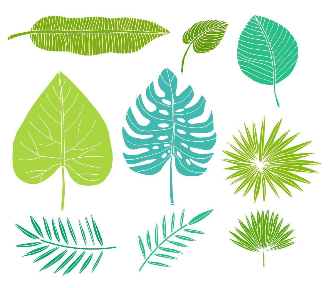 conjunto de hojas tropicales, plantas aisladas sobre fondo blanco. colección de elementos de diseño aislado en blanco. vector