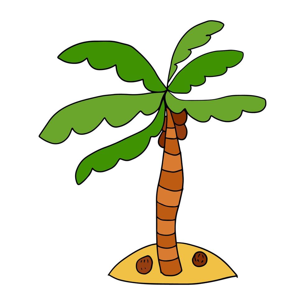 Cute cartoon doodle linear palm isolated on white background. Exotic ...