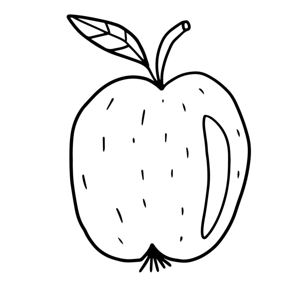 Cute hand drawn doodle big apple with leaf isolated on white background.  Food or snack. vector