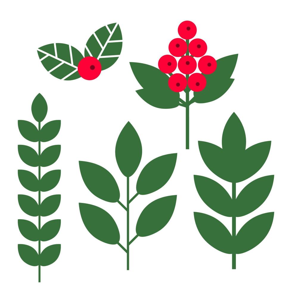 Set of plants, tree branches, flowers, leaves, berries isolated on white background. vector