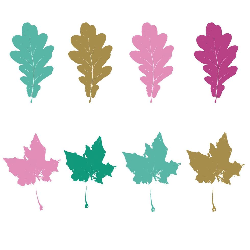 Floral set of elements. Realistic maple and oak leaves on white background vector