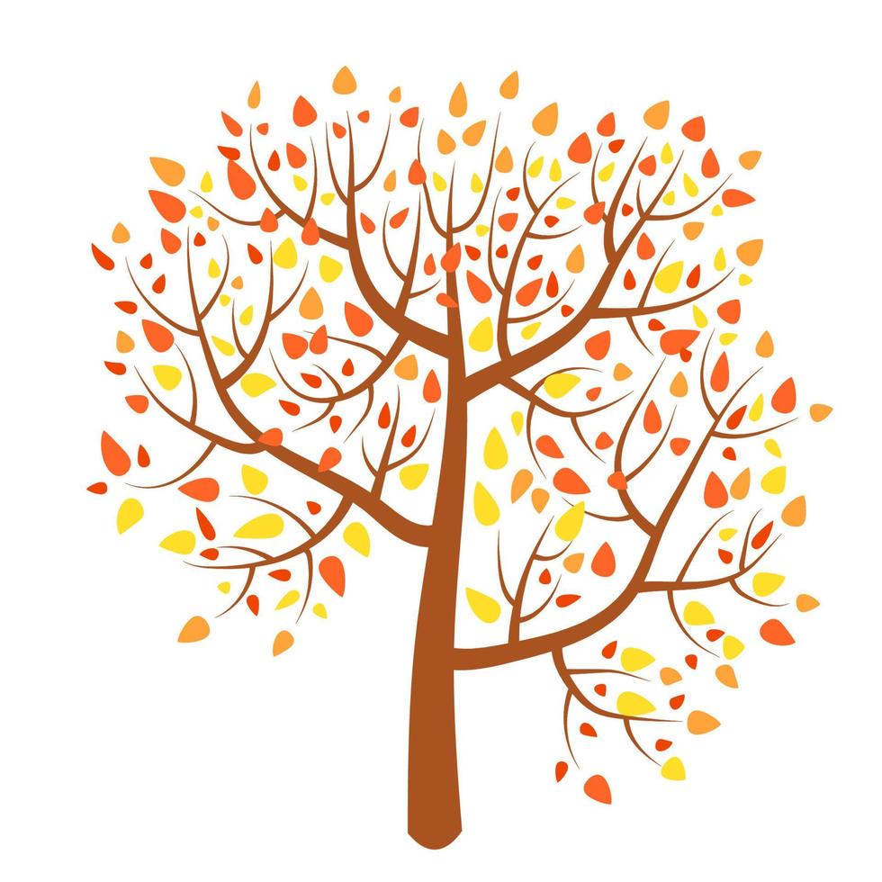 árbol de otoño de dibujos animados en estilo plano aislado sobre fondo  blanco. planta de otoño 5752793 Vector en Vecteezy