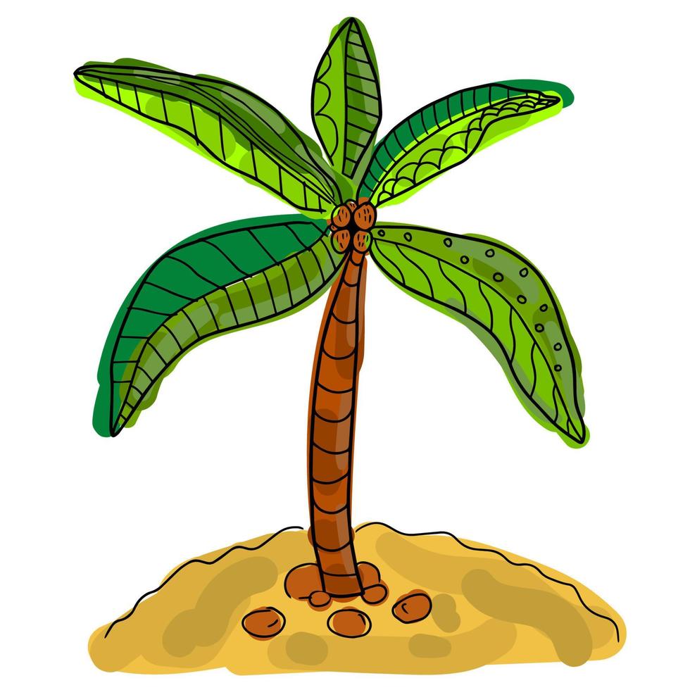 Cute cartoon doodle linear palm isolated on white background. Exotic tree sketch. vector