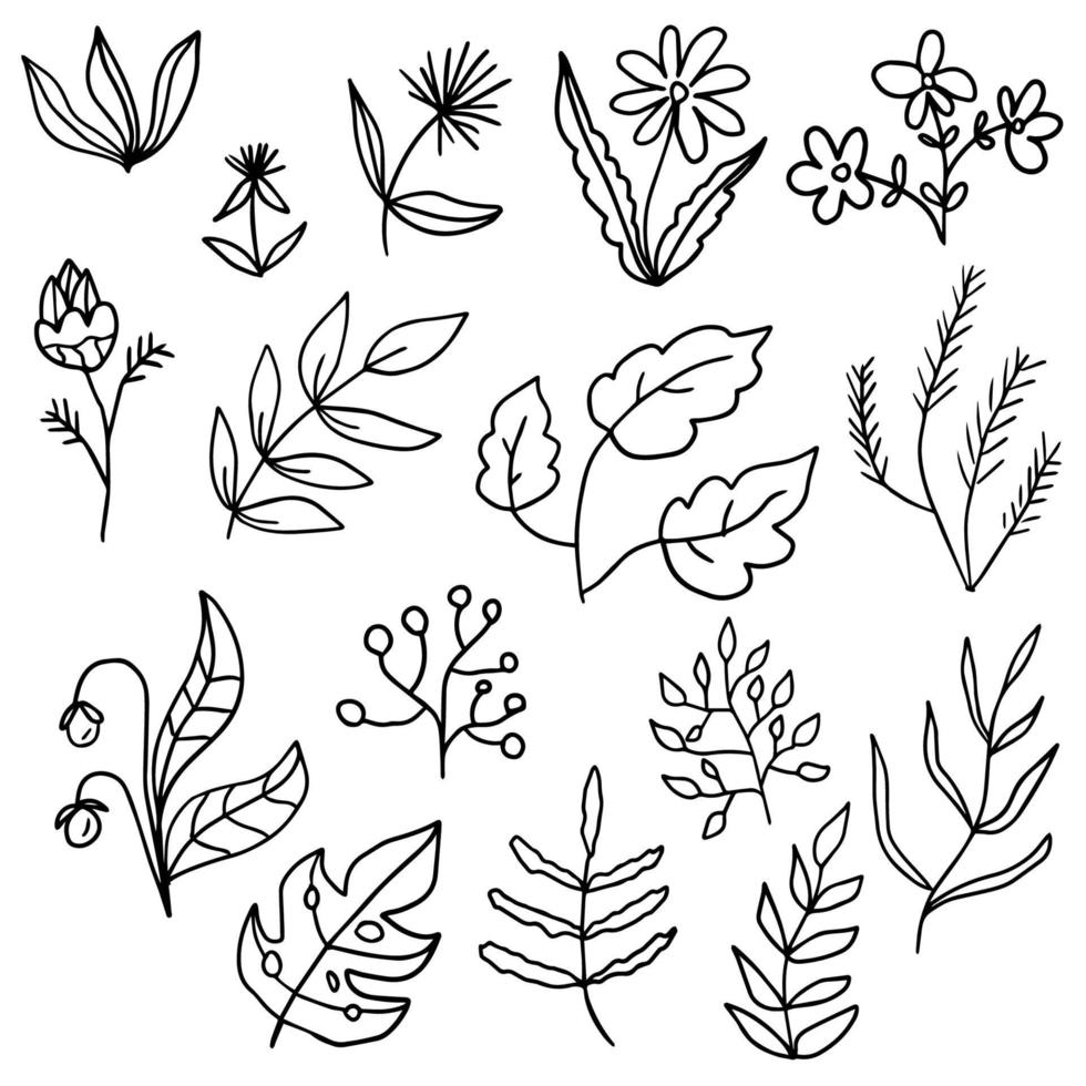Floral set of black outline hand drawn elements, flowers, tree branch, bush, plant, tropical leaves, branches, petals isolated on white. Collection for design. vector
