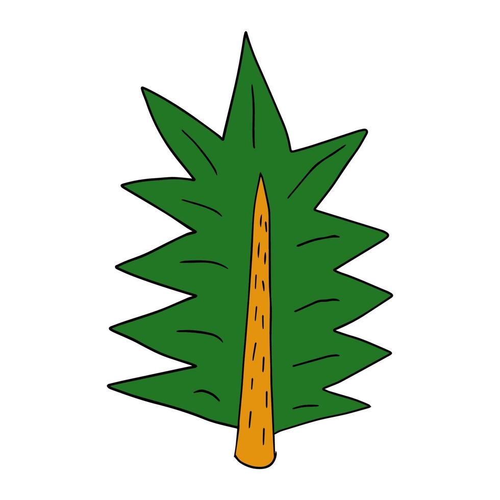 Cartoon doodle linear spruce tree isolated on white background. Forest hand drawn icon. vector