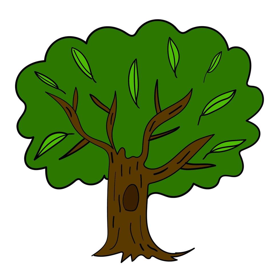 Cartoon doodle hand drawn tree isolated on white background. Childlike style. Sketch woodland icon. vector