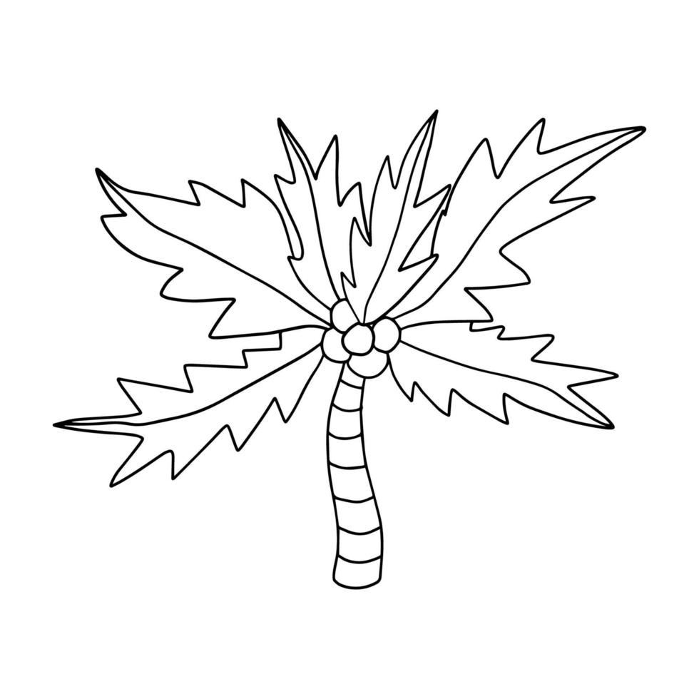 Cute cartoon doodle linear palm isolated on white background. Exotic tree sketch. vector