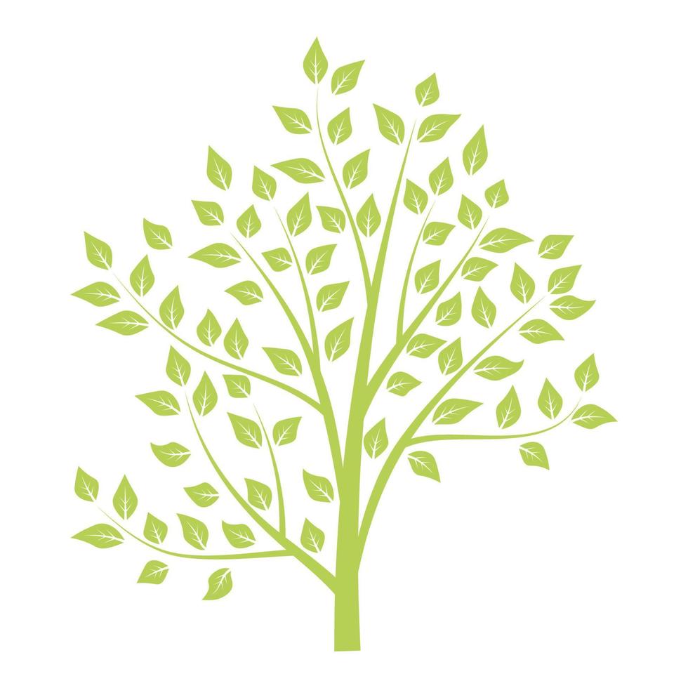 Green tree isolated on white background. vector