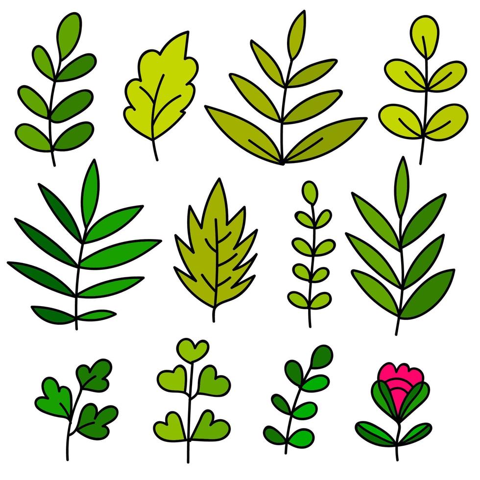 Floral set of colorful hand drawn elements, tree branch, bush, plant, tropical leaves, flowers, branches, petals isolated on white. Collection for design. vector