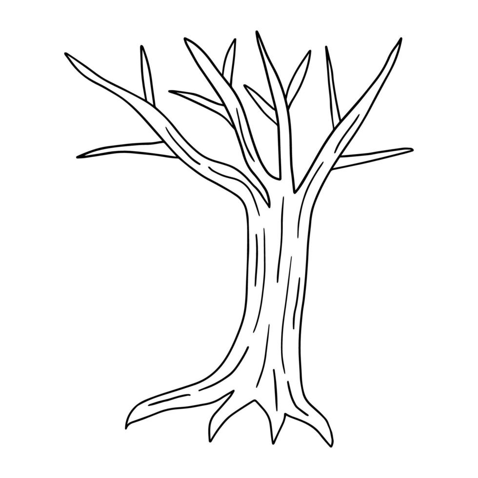 Hand drawn bare tree with roots isolated on background. vector