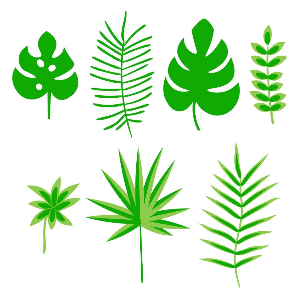 conjunto de hojas tropicales, plantas aisladas sobre fondo blanco. vector