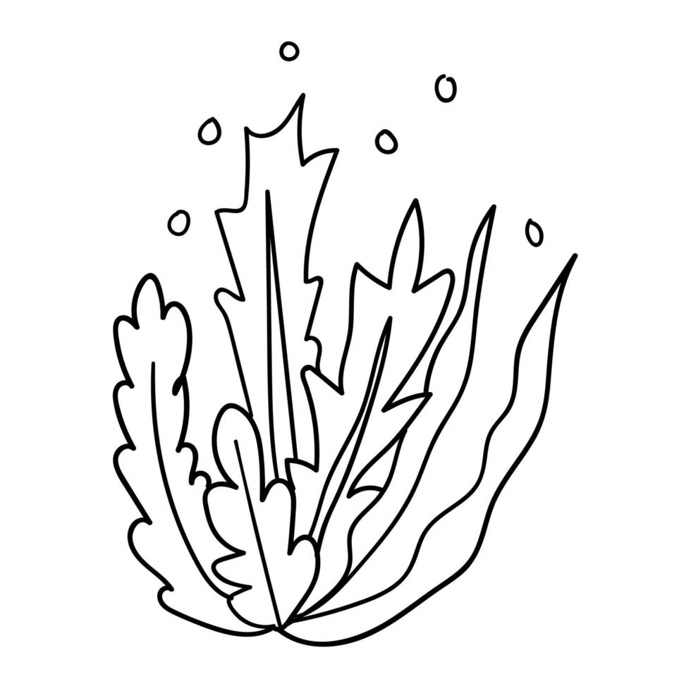 Cute cartoon doodle seaweed isolated on white background. Underwater nature. vector