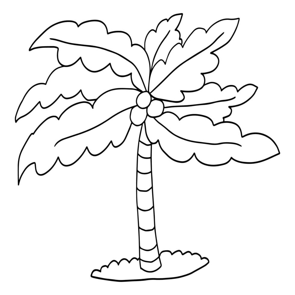 Cute cartoon doodle linear palm isolated on white background. Exotic tree sketch. vector