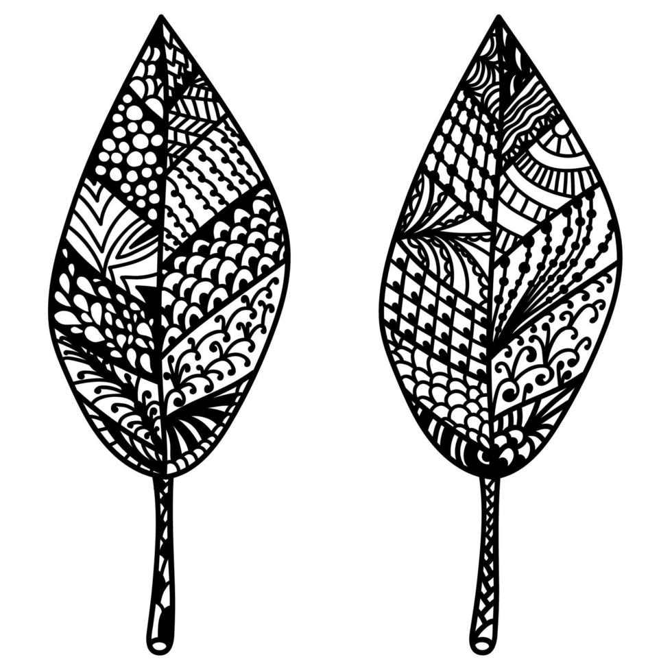 Doodle leaves isolated on white background. vector