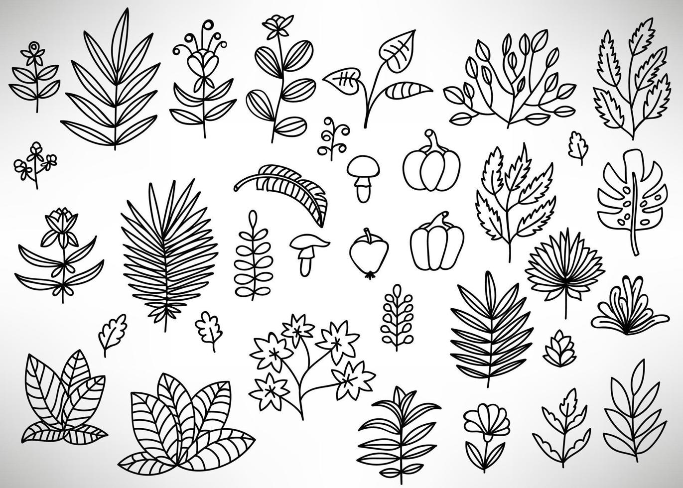 Big Floral Set of black hand drawn flowers, bushes, leaves, branches isolated on white. Collection of flourish elements for design. vector