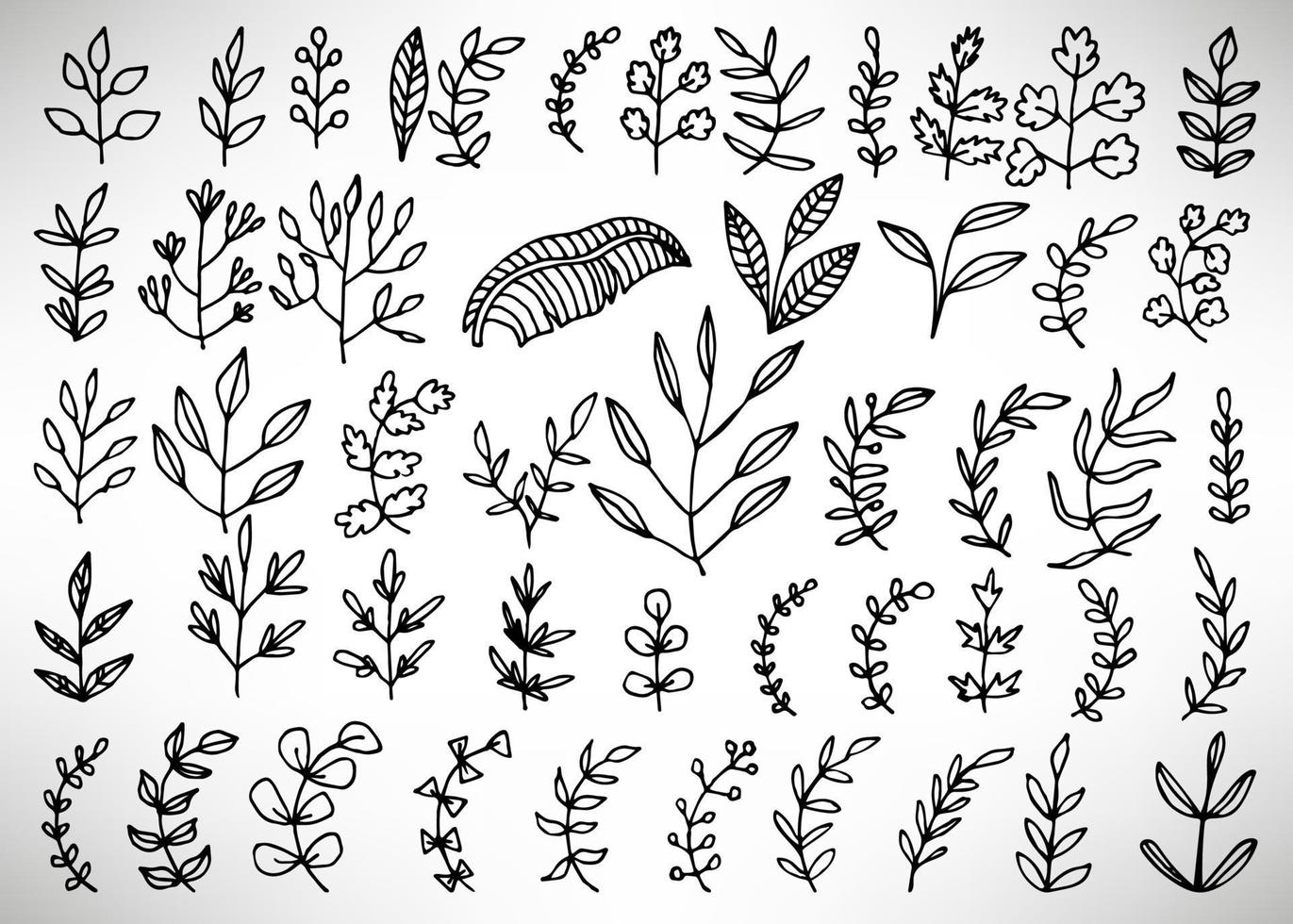 Floral set of black outline hand drawn elements, tree branch, bush, plant, tropical leaves, branches, petals isolated on white. Collection for design. vector