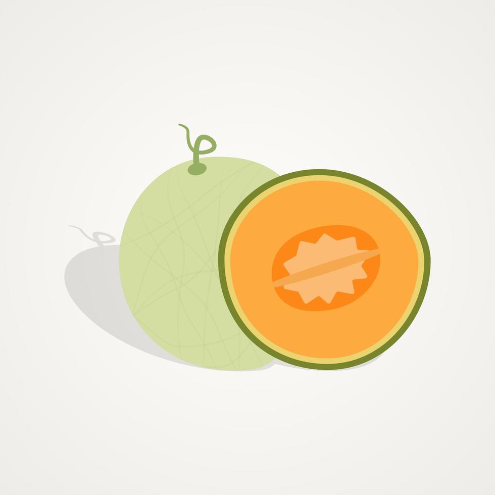 conjunto de frutas tropicales de ilustración de fruta de melón sobre fondo aislado vector