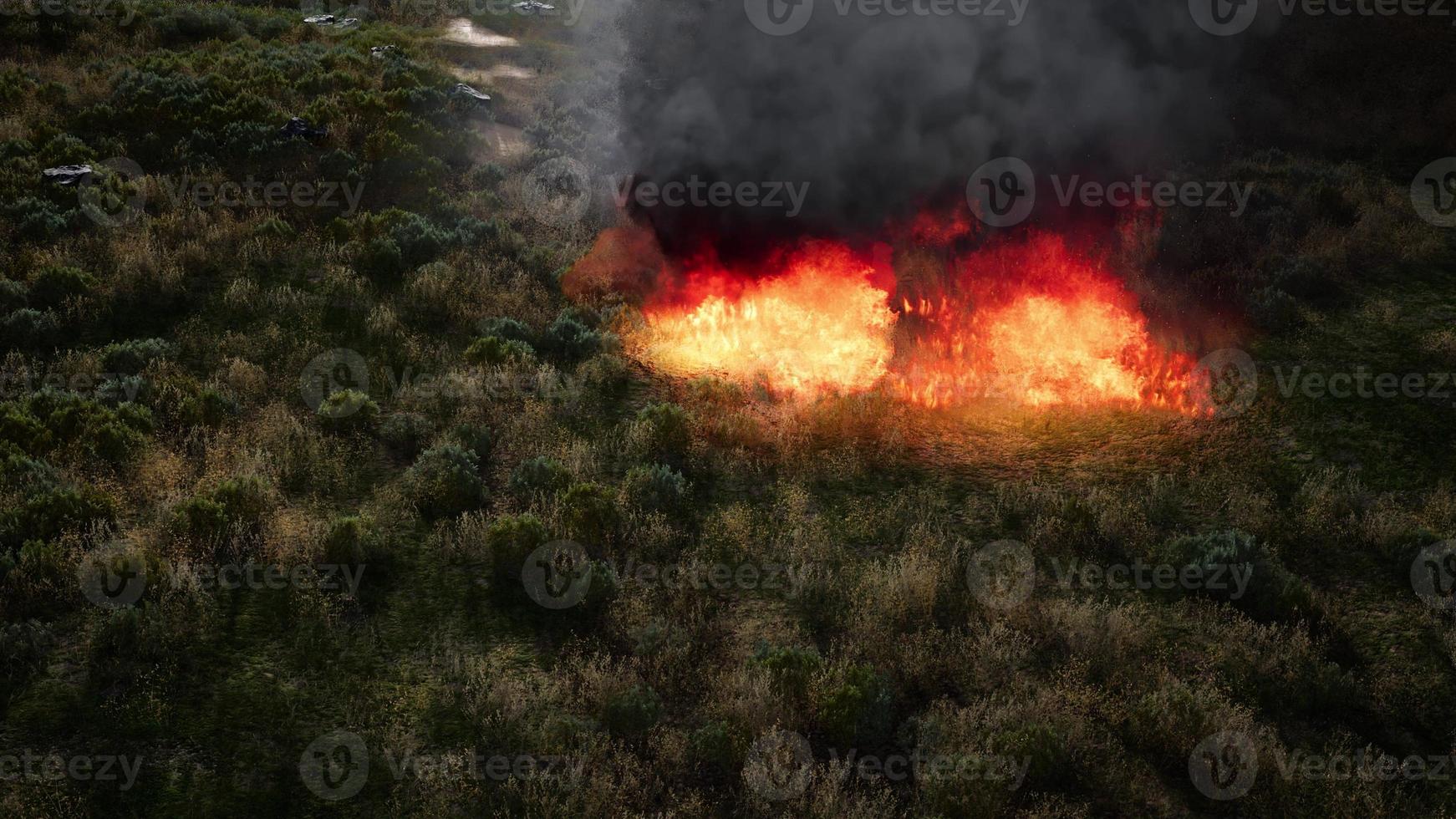 fuego rojo en hierba seca foto