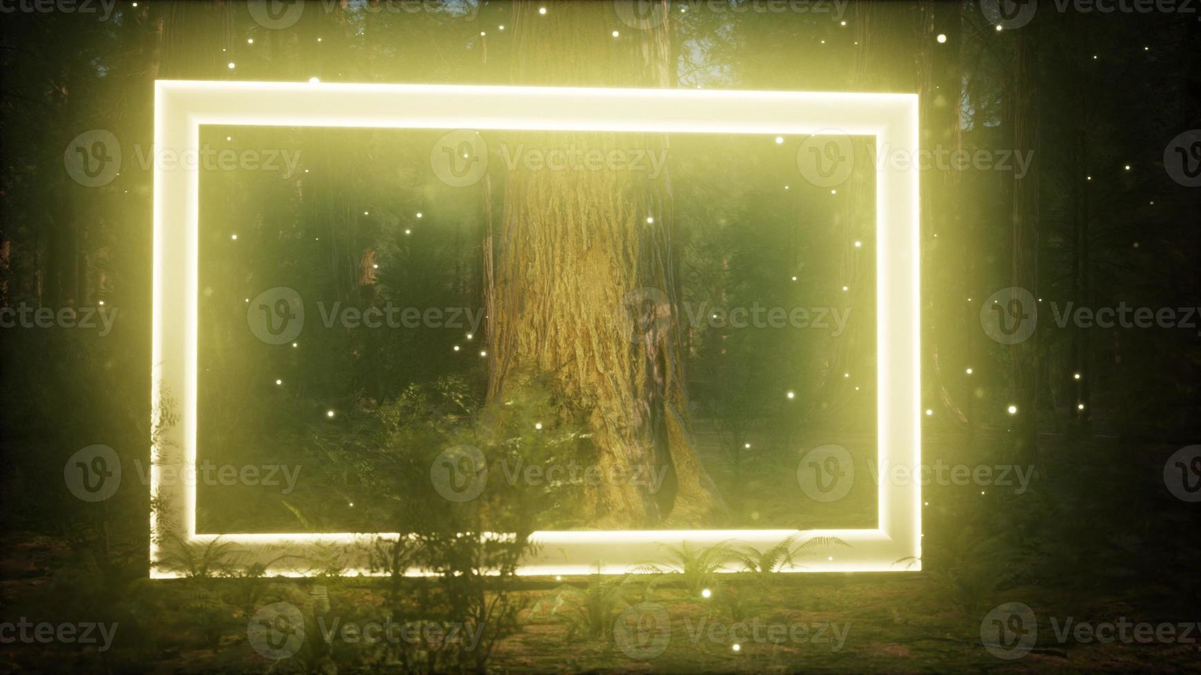 Neon glowing rectangle frame in the night forest photo