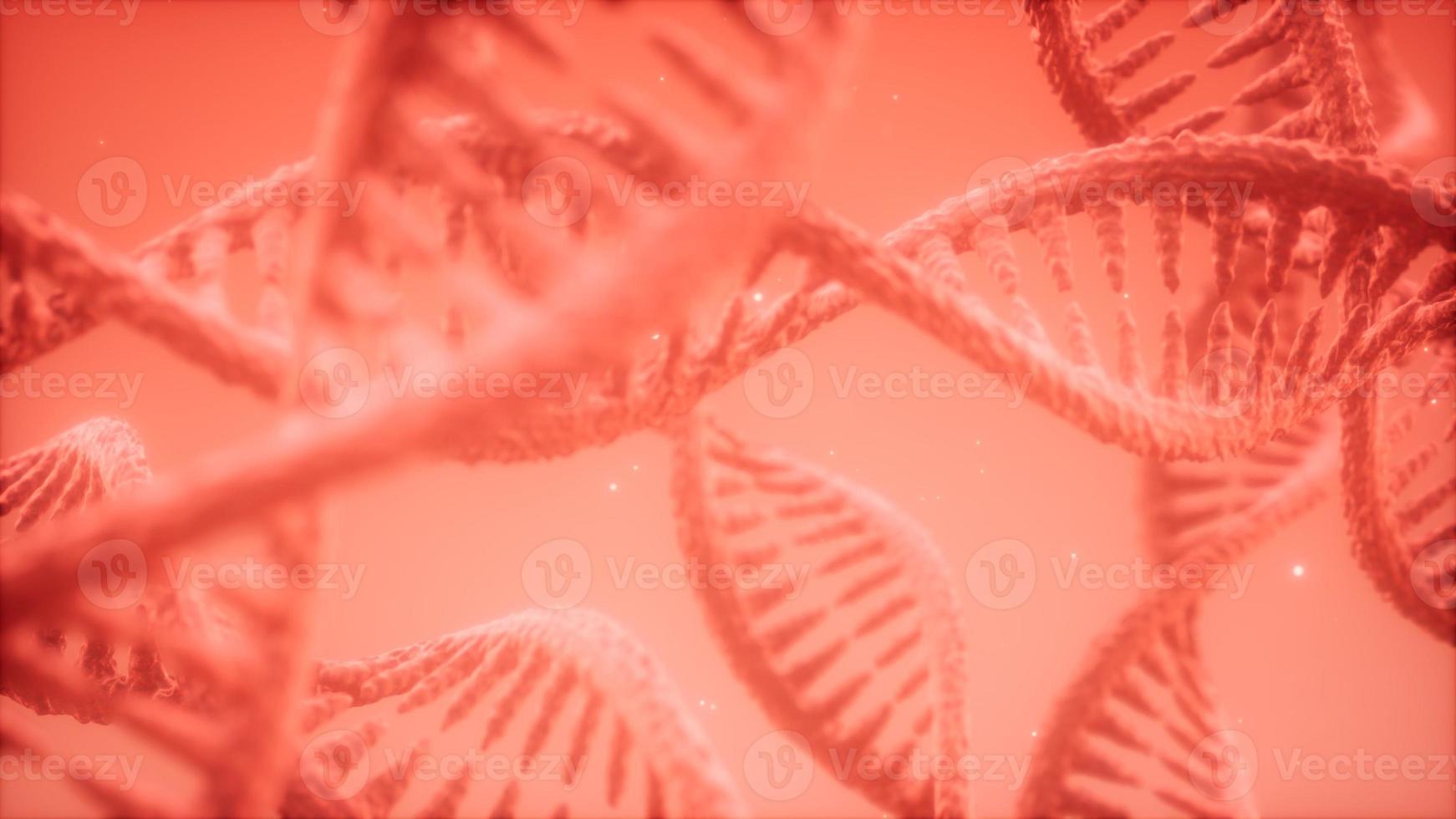 structure of the DNA double helix animation photo