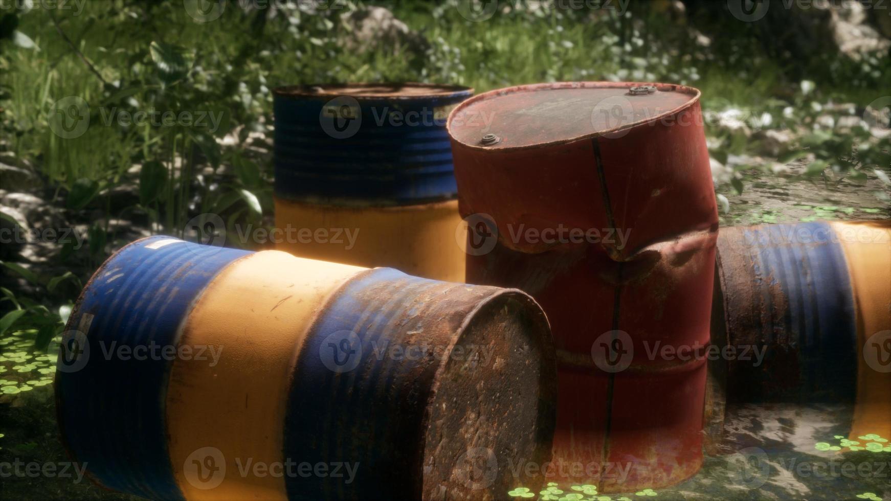barriles oxidados en bosque verde foto