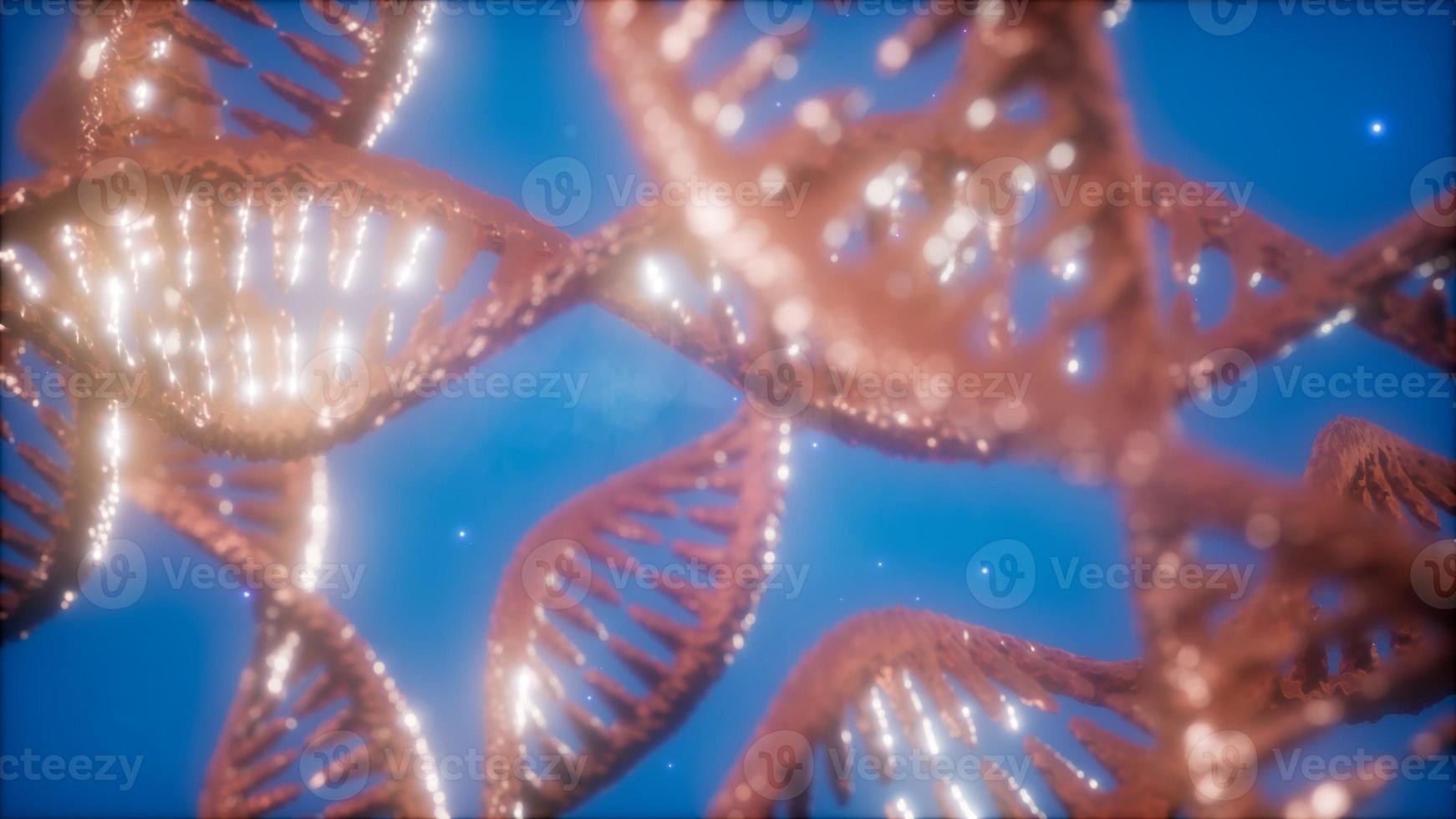 structure of the DNA double helix animation photo