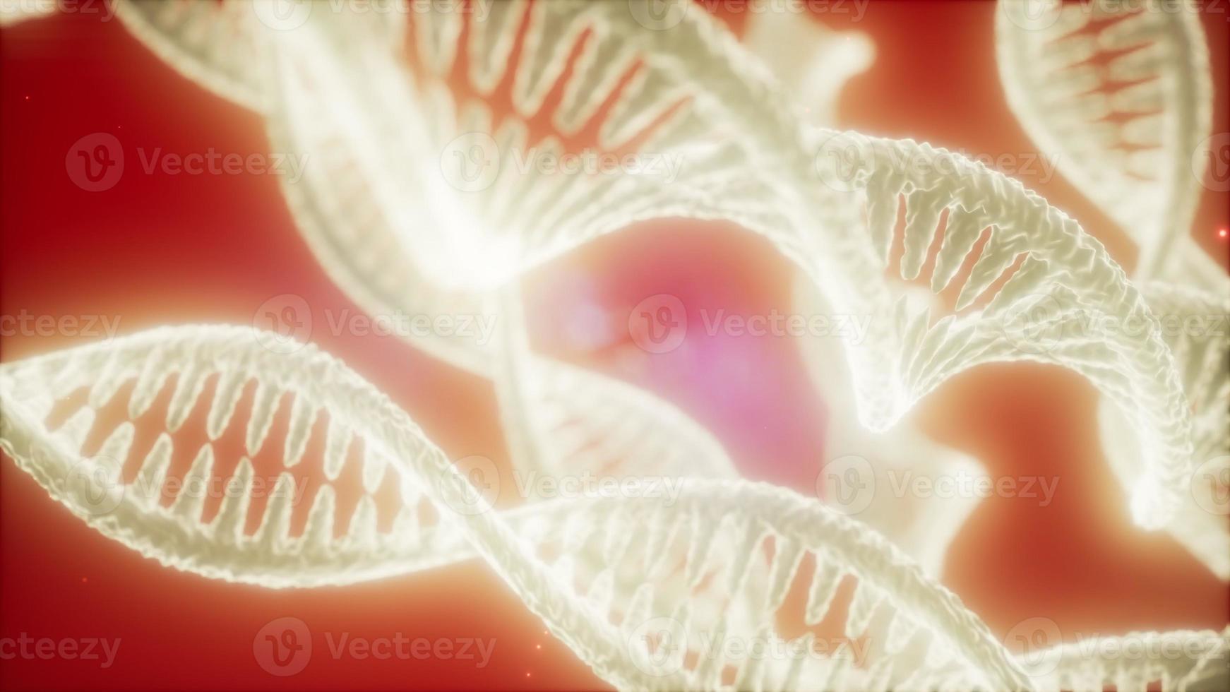 structure of the DNA double helix animation photo
