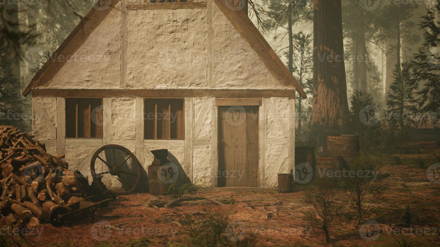 old wooden house in the autumn forest photo