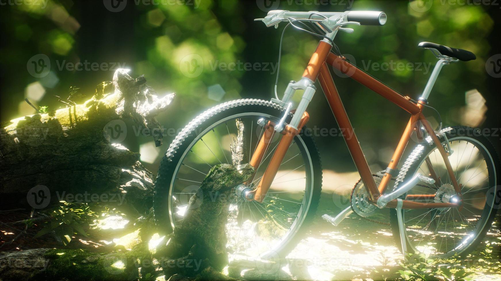 bicicleta de montaña en el camino del bosque foto