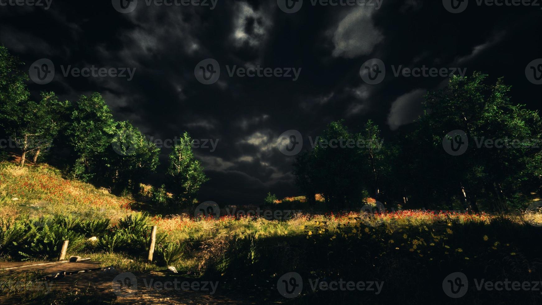 Thunderstorm clouds with lightning in green meadow photo