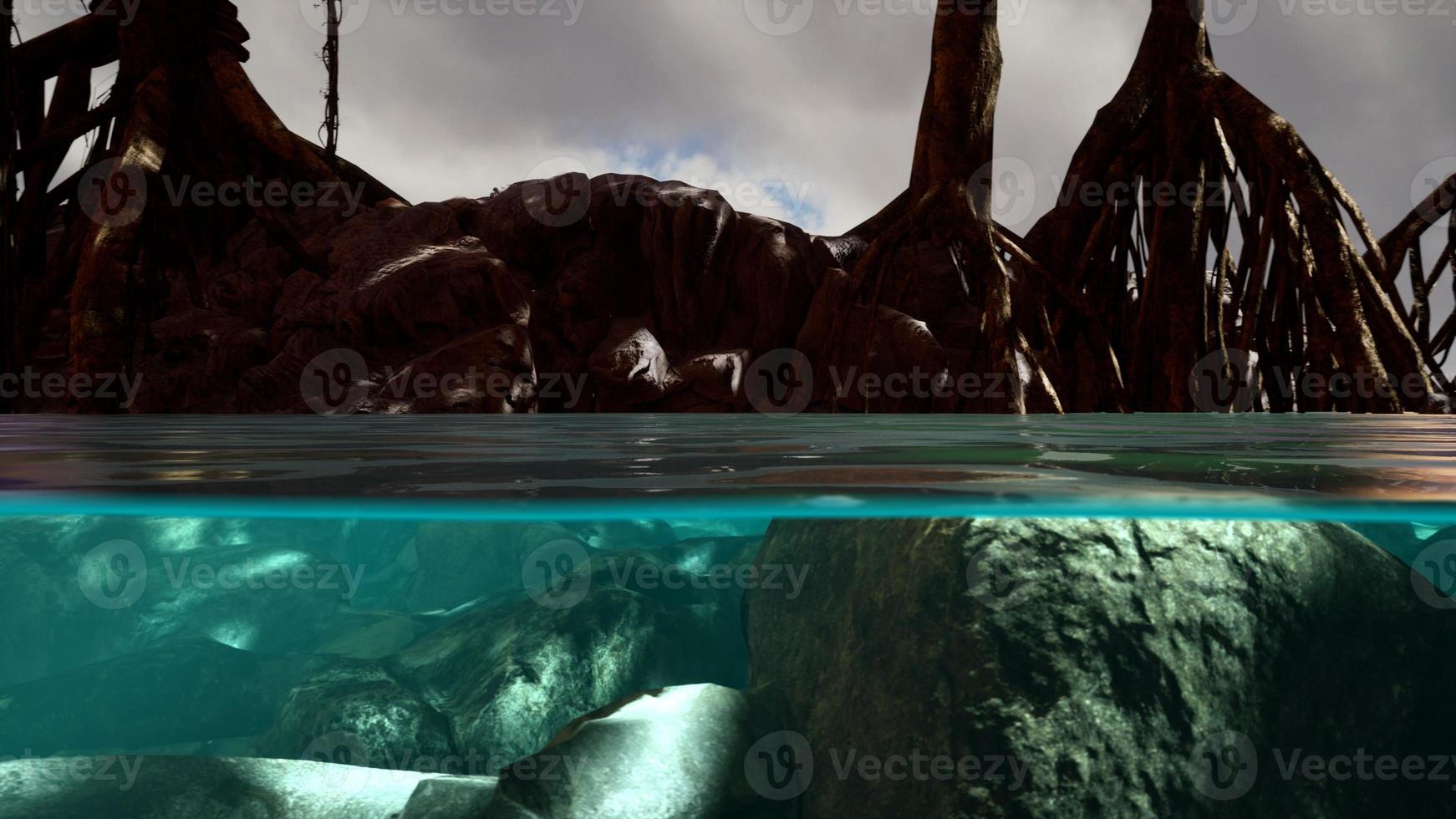Above and below the sea surface near mangrove trees photo