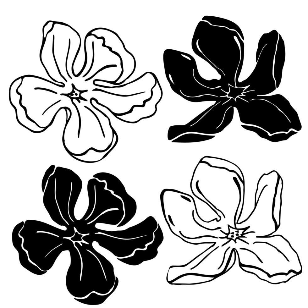 cabeza de flor de magnolia, elementos dibujados a mano para el diseño de la tarjeta de boda e invitación vector