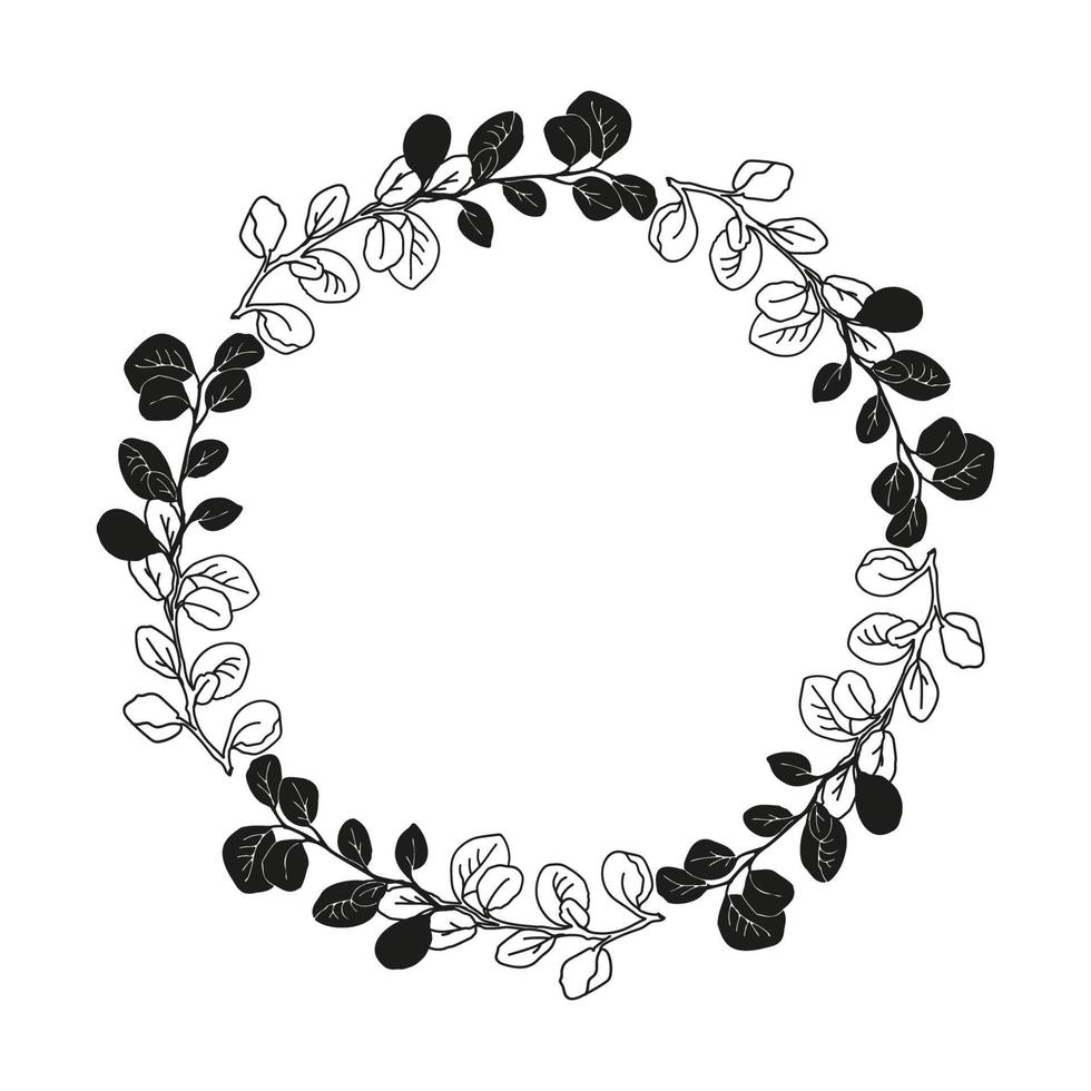 Eucalyptus leaves hand drawn frame vector