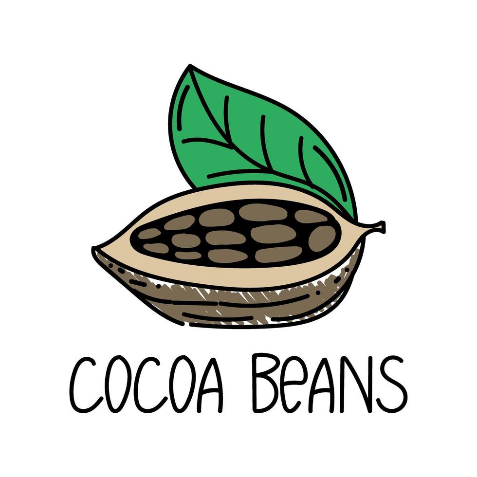 granos de cacao, elemento dibujado en estilo garabato. plantilla de diseño de embalaje de logotipo y emblema - hierbas y especias - granos de cacao. logotipo en un estilo lineal de moda. vector