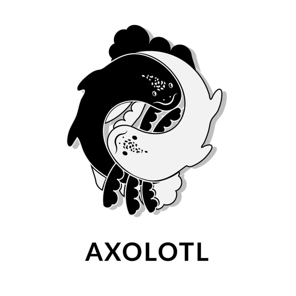 lindo axolotl, ambystoma mexicanum, icono de vector en monocromo. Yin y yang. ajolote blanco y negro. logotipo en un estilo lineal de moda.