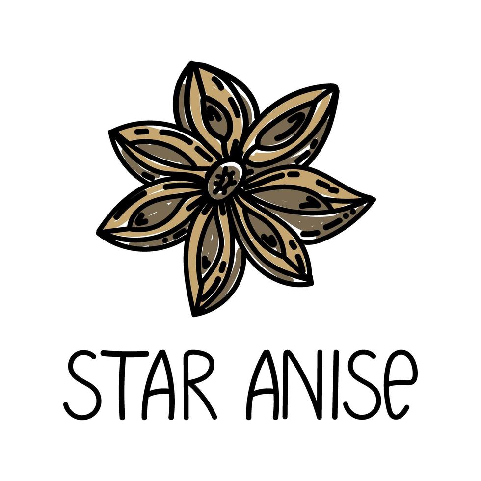 Star anise, hand-drawn doodle style element. Logo and emblem packaging design template - spices and herbs - aniseed. Logo in a trendy linear style. vector