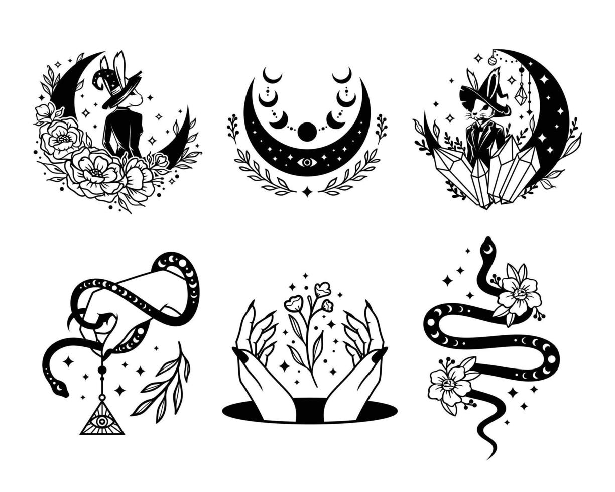 Magic and Celestial Collections vector